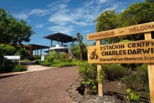 Galapagos: Besøg på Charles Darwin Research Station på Santa Cruz