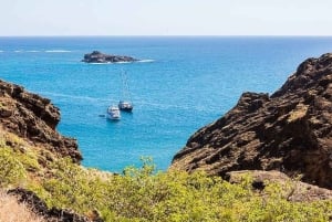 Galapagos: Besøg på Charles Darwin Research Station på Santa Cruz