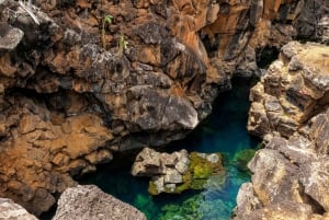 Galápagos: Santa Cruz, Navigable Bay Tour + Las Grietas