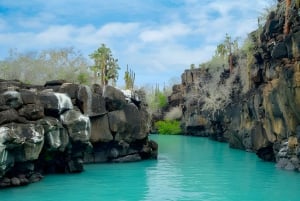 Galápagos: Santa Cruz, Navigable Bay Tour + Las Grietas