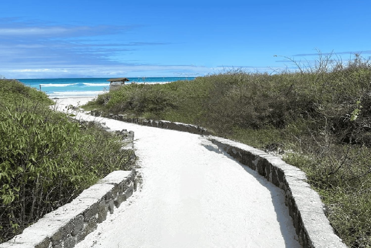 Galápagos – Santa Cruz: Guidet tur til Tortuga-bukten