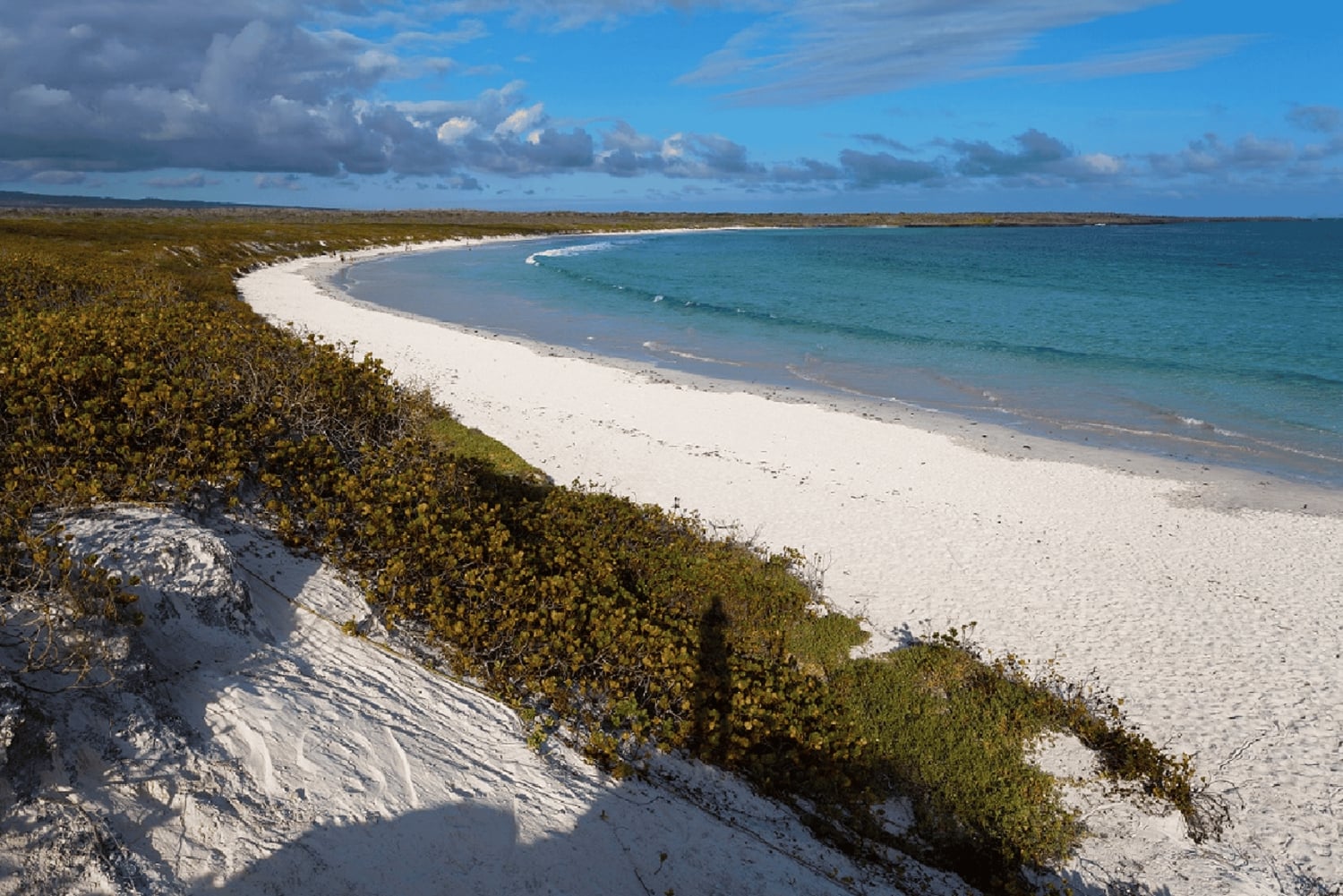 Galápagos – Santa Cruz: Guidet tur til Tortuga-bukten