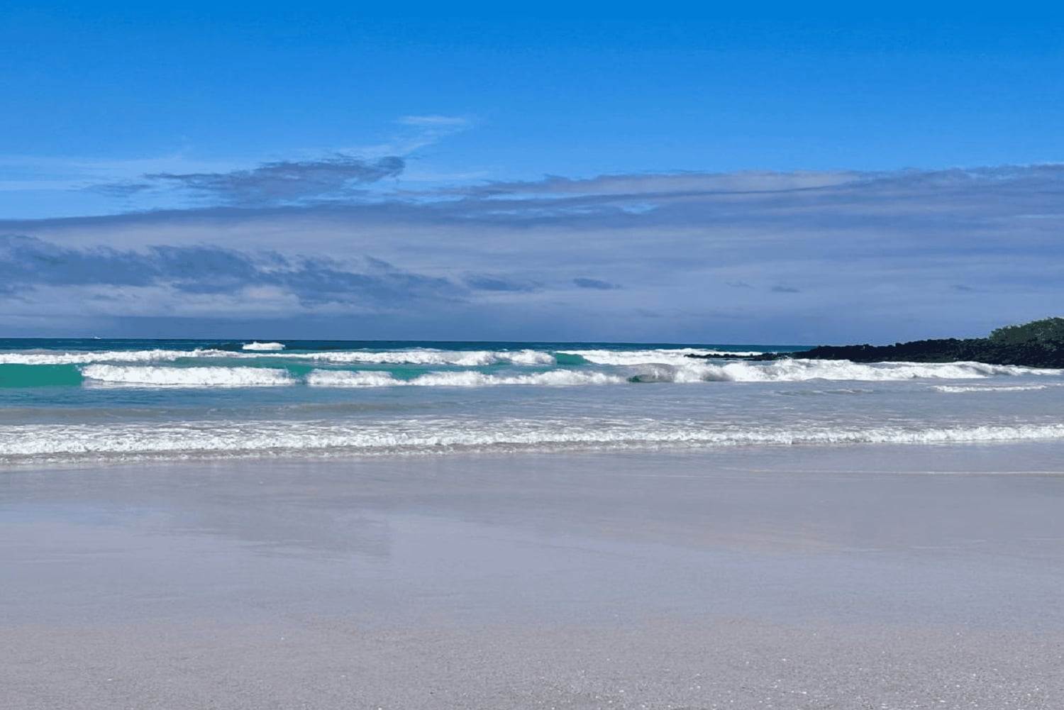 Galápagos – Santa Cruz: Guidet tur til Tortuga-bukten