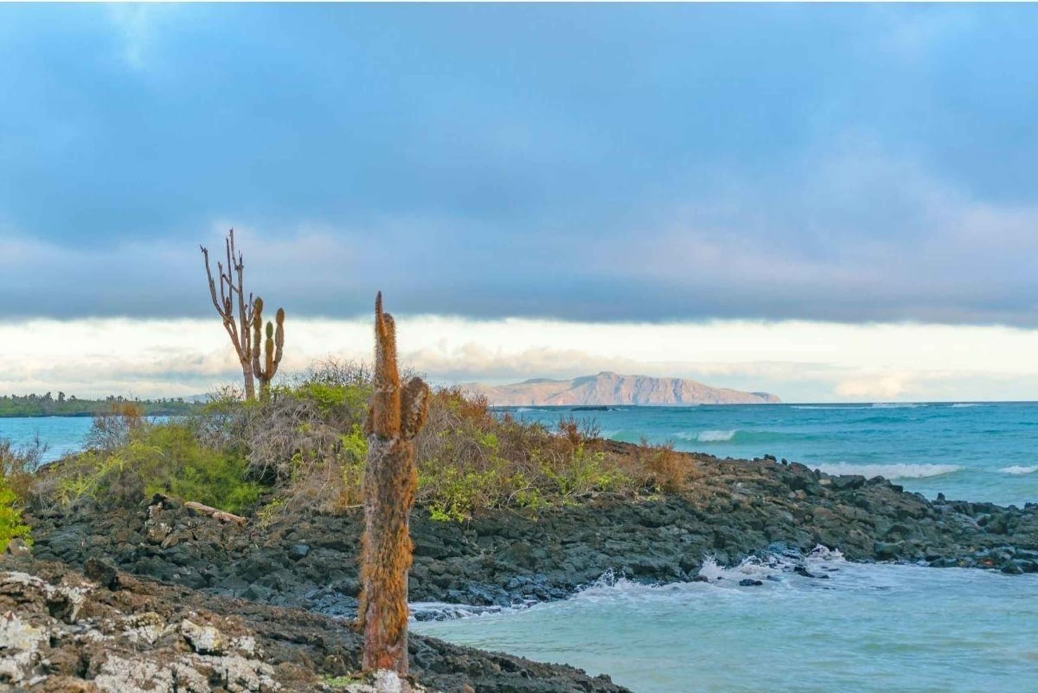 Galápagos: Santa Cruz - Tour Playa El Garrapatero