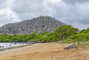 Galápagos: Santa Cruz - Tour Playa El Garrapatero
