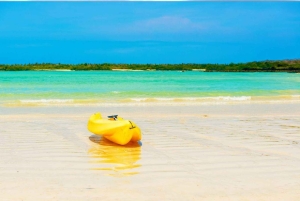 Galápagos: Santa Cruz - Tour Playa El Garrapatero