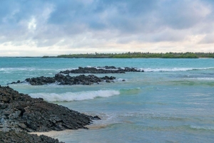 Galápagos: Santa Cruz - Tour Playa El Garrapatero