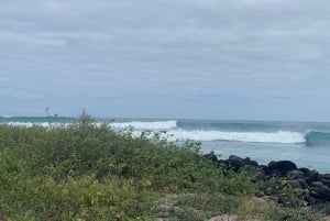 Galapagos: Surf Guiding Session with Local Pro Surfer