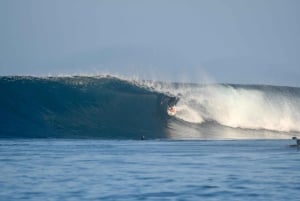 Galapagos: Surf Guiding Session with Local Pro Surfer