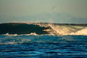 Galapagos: Surf Guiding Session with Local Pro Surfer