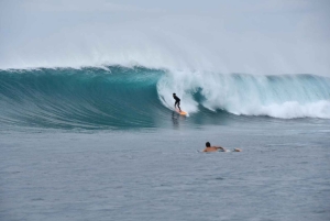 Galapagos: Surf Guiding Session with Local Pro Surfer