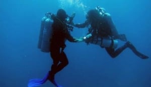 Galapagos Tip Top Dive