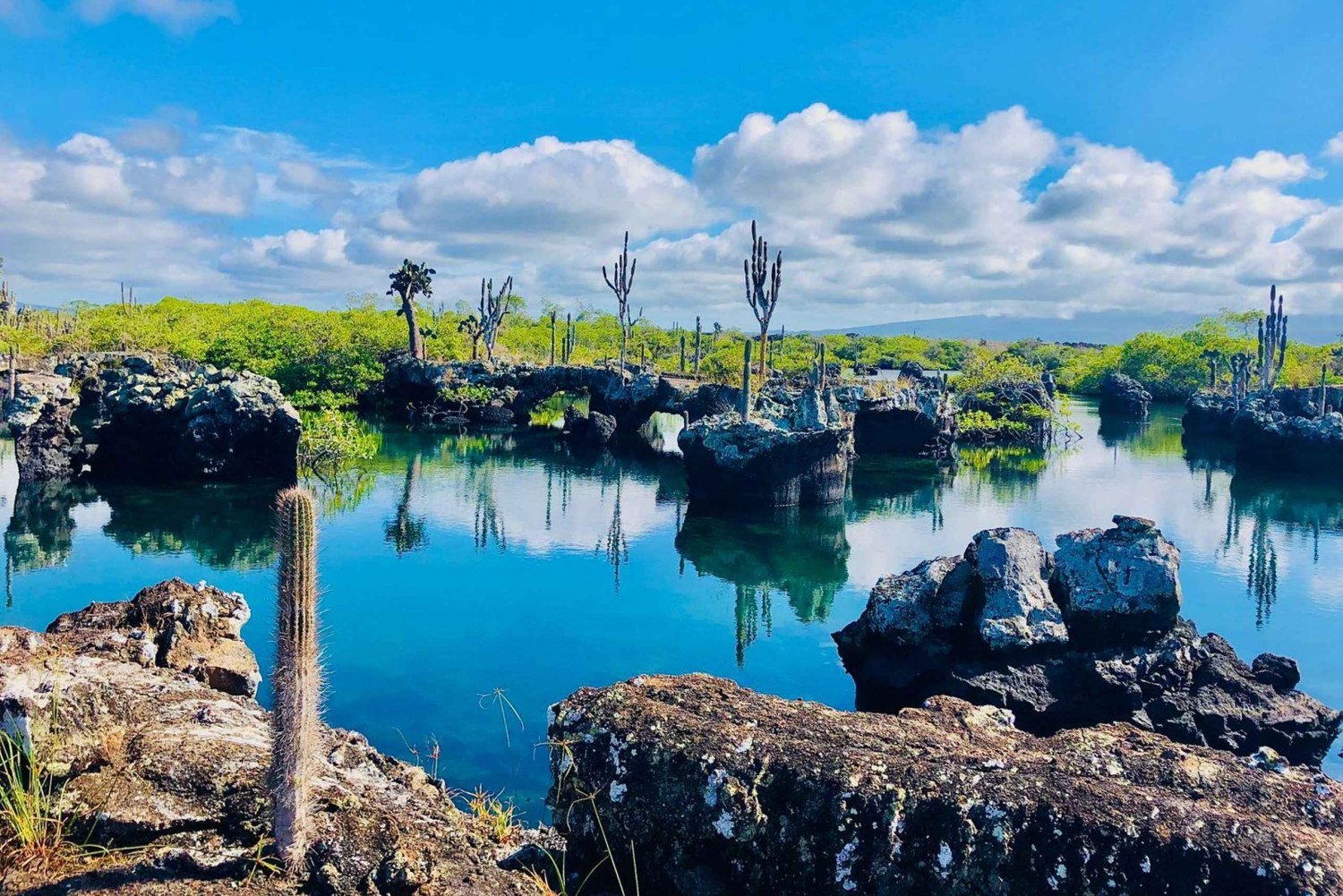 Galapagos Tunnels:Snorkel with Sharks,seahorse & sea turtles