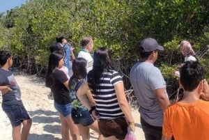 Giant Tortoises, Lava Tunnels, & Tortuga Bay Beach Day Tour