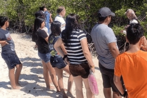 Giant Tortoises, Lava Tunnels, & Tortuga Bay Beach Day Tour