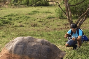 Giant Tortoises, Lava Tunnels, & Tortuga Bay Beach Day Tour