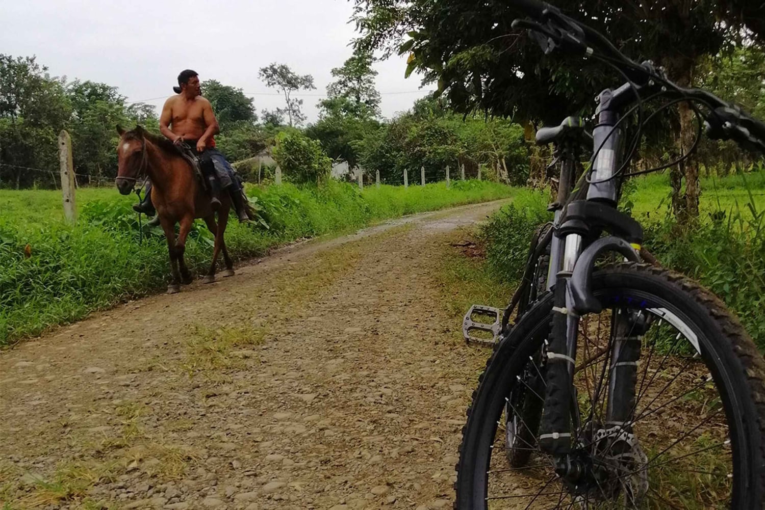 غواياكيل: جولة شلالات ركوب الدراجات ليوم كامل