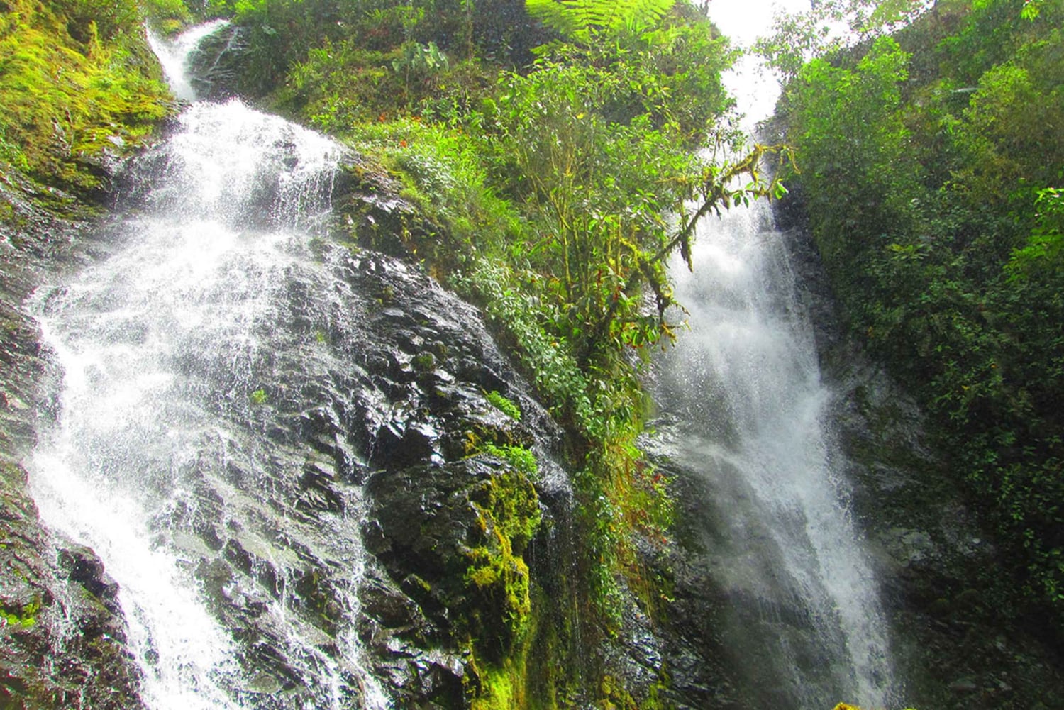 غواياكيل: جولة شلالات ركوب الدراجات ليوم كامل