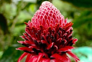 غواياكيل: جولة شلالات ركوب الدراجات ليوم كامل