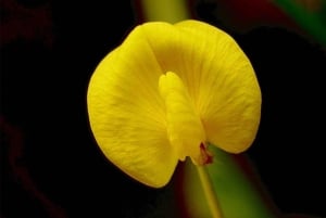 غواياكيل: جولة شلالات ركوب الدراجات ليوم كامل