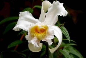 غواياكيل: جولة شلالات ركوب الدراجات ليوم كامل