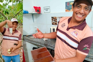 Guayaquil: excursão à fazenda de cacau com fabricação de chocolate e almoço