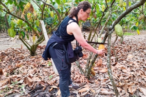 Guayaquil: excursão à fazenda de cacau com fabricação de chocolate e almoço