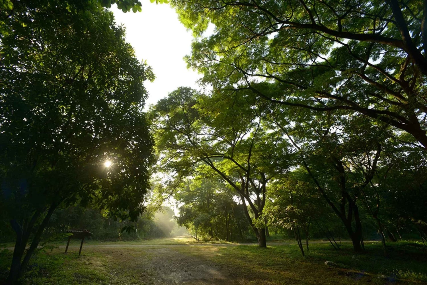 غواياكيل: جولة إرشادية في غابة سيرو بلانكو المحمية
