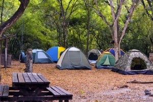 غواياكيل: جولة إرشادية في غابة سيرو بلانكو المحمية