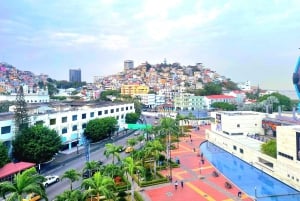 グアヤキル：ケーブルカー乗車付き市内ハイライトツアー