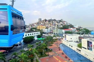 グアヤキル：ケーブルカー乗車付き市内ハイライトツアー