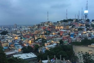 Guayaquil stadsrundtur - 4 timmars tur