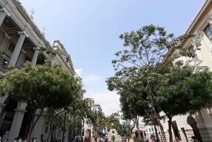 Stadsrondleiding Guayaquil - 4 uur durende rondleiding