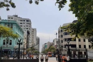 Visite de la ville de Guayaquil - 4 heures