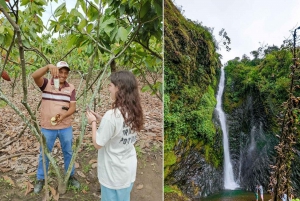 Tour e pranzo della foresta pluviale di Guayaquil e della fattoria del cacao