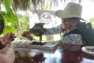 Tour e pranzo della foresta pluviale di Guayaquil e della fattoria del cacao