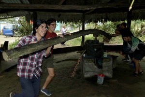 Guayaquil Excursão pela floresta nublada e fazenda de cacau e almoço