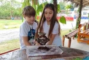 جولة في غابة غواياكيل السحابية ومزرعة الكاكاو والغداء