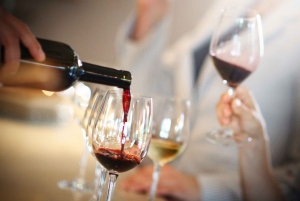 غواياكيل: درس طهي وتجربة النبيذ والشوكولاتة