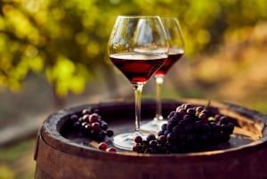 Guayaquil : visite du vignoble Dos Hemisferios avec déjeuner (partagé)