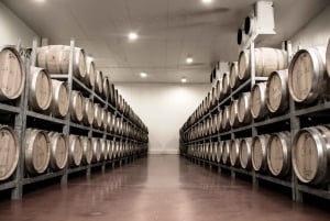 Guayaquil : visite du vignoble Dos Hemisferios avec déjeuner (partagé)