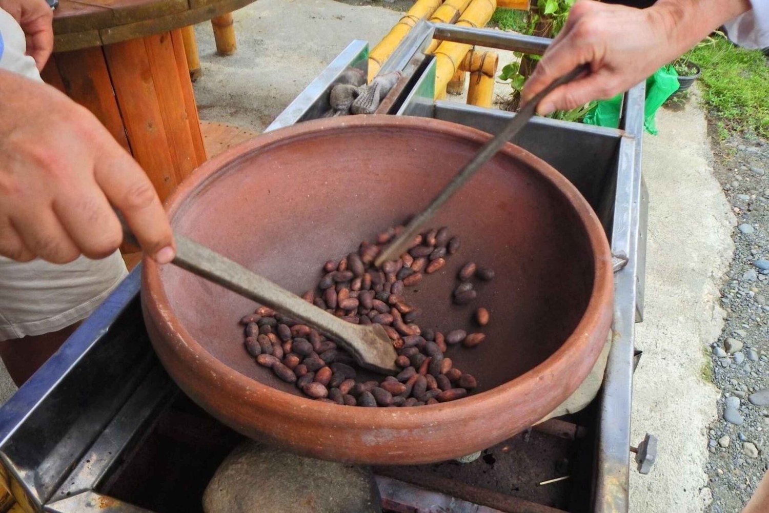 Guayaquil: Epic Cacao Farm & City Tour Experience