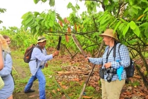 Guayaquil: Episk oplevelse med kakaofarm og byrundvisning