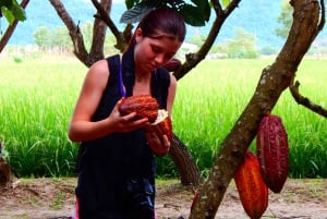 Guayaquil: Experiencia épica en una granja de cacao y tour de la ciudad