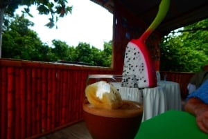 Guayaquil: Experiencia épica en una granja de cacao y tour de la ciudad