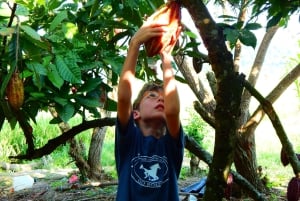 Guayaquil: Experiencia épica en una granja de cacao y tour de la ciudad
