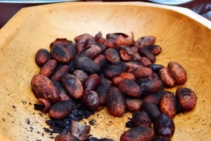 Guayaquil: Experiencia épica en una granja de cacao y tour de la ciudad