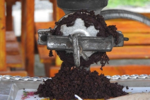 غواياكيل: تجربة رائعة في مزرعة الكاكاو وجولة في المدينة