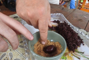 غواياكيل: تجربة رائعة في مزرعة الكاكاو وجولة في المدينة