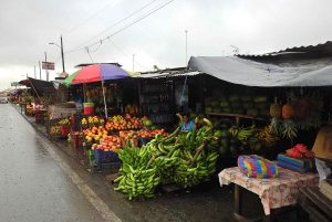 غواياكيل: تجربة رائعة في مزرعة الكاكاو وجولة في المدينة